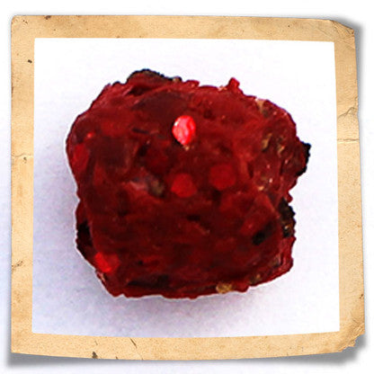 "Blood Red" ARTIFICIAL FISH FOOD PELLET