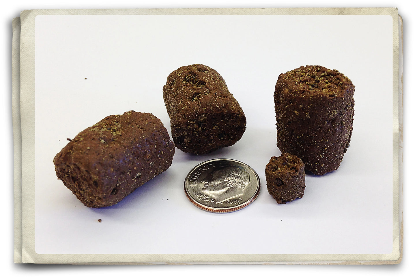 "MUD Bug Brown" CHUBBY STUBBY ARTIFICIAL FISH FOOD LURE