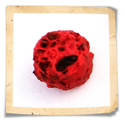 "Bright Pink" ARTIFICIAL FISH FOOD PELLET