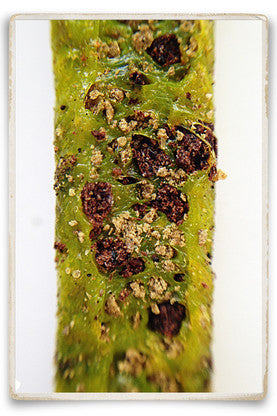 "Chartreuse" ARTIFICIAL FISH FOOD WORM